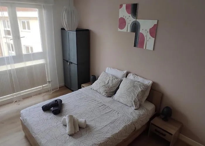 公寓 D&d Home-appartement Centre Historique Colmar-parking Gratuit 科尔马