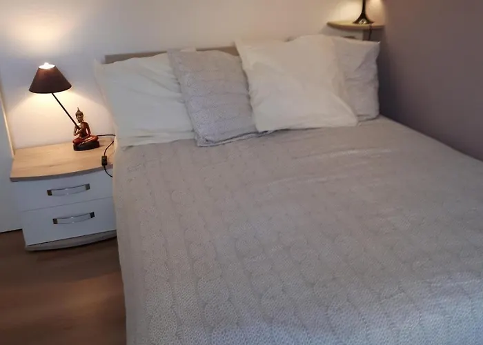 D&d Home-appartement Centre Historique Colmar-parking Gratuit * 科尔马