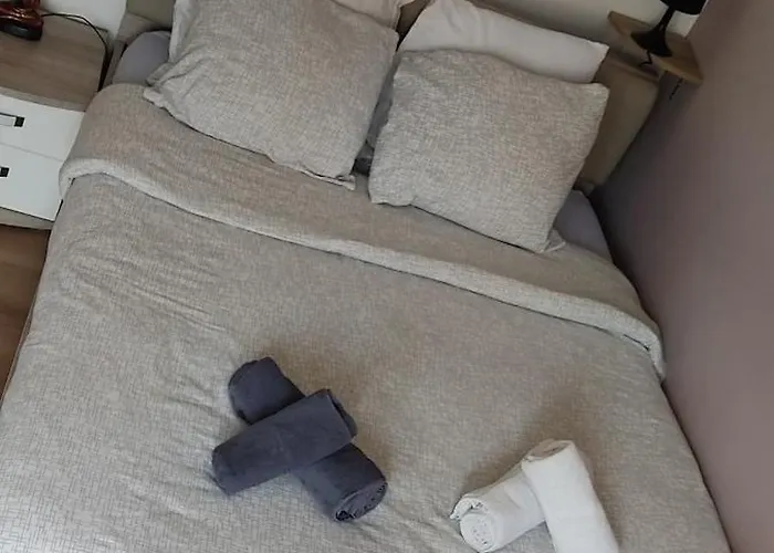 D&d Home-appartement Centre Historique Colmar-parking Gratuit * 科尔马